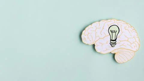 Paper brain with light bulb copy space Stock Photos