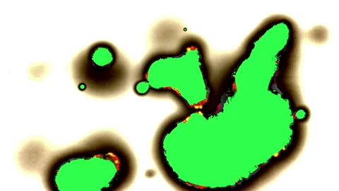 Paper burning in flames Video stock 134562588