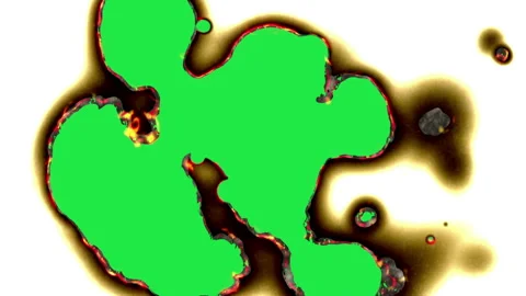 Paper burning in flames Stock-Footage 134971364