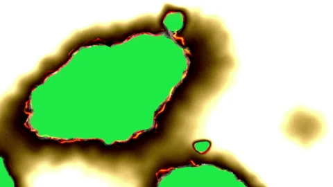 Paper burning in flames Video stock 135172259