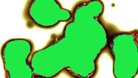 Paper burning in flames 스톡 동영상 135910266