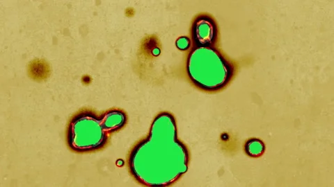 Paper burning in flames Stock Footage 135910318