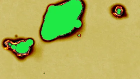 Paper burning in flames 스톡 동영상 135910359