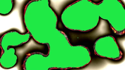 Paper burning in flames Video stock 152727394