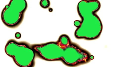 Paper burning in flames Video stock 152727403