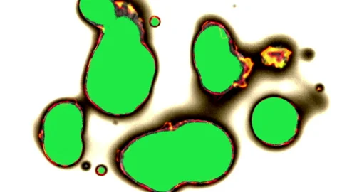 Paper burning in flames Video stock 152727434