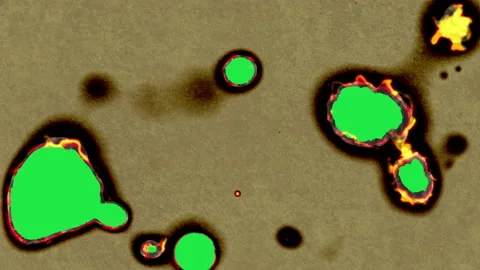 Paper burning in flames Video stock 152727476