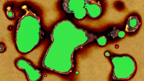 Paper burning in flames Stock-Footage 158891724