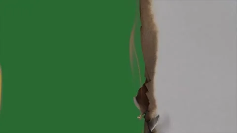 Paper burning in flames, smoke and turns into ashes revealing green screen. Stock Footage 241995288