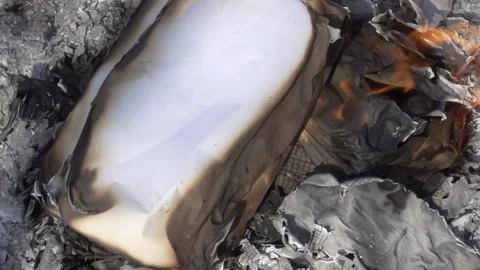 Paper is burning in slow motion Stock Footage 152095356