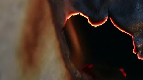 Paper burns on a black background Stock Footage 33601607