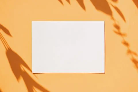 Paper card on the yellow table with drop shadow of plant branches. Stock Photos