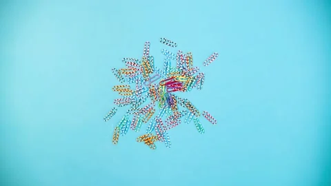 Paper clips form the text Back to School stop motion. Animated inscription. 스톡 동영상 136956228