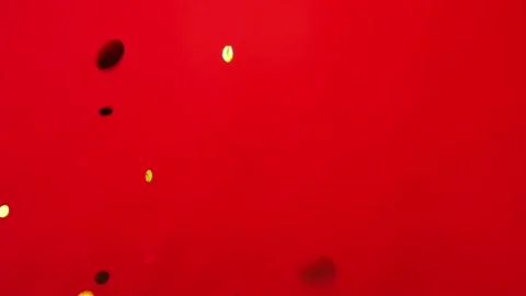 Paper confetti on a red background. Stock Footage 108278546