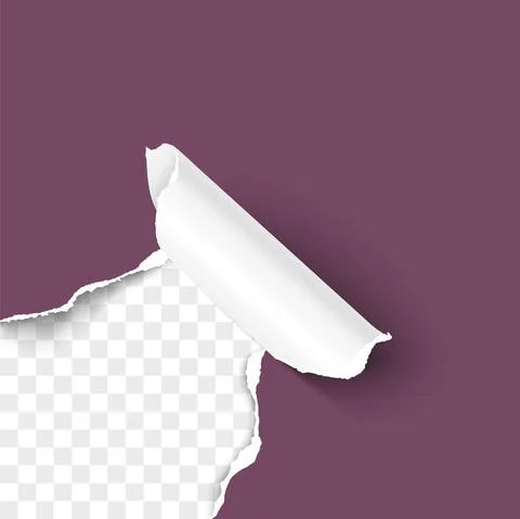 Paper corner torn hole corner of paper sheet with paper curl Stock Illustration