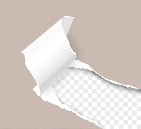 Paper corner torn hole corner of paper sheet with paper curl isolated on Stock Illustration