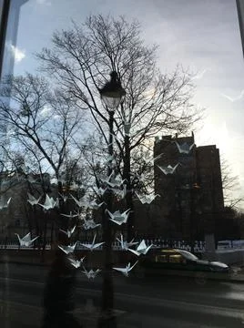 Paper cranes in the window Stock Photos