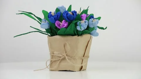 Paper crocuses Stock Footage 58312102
