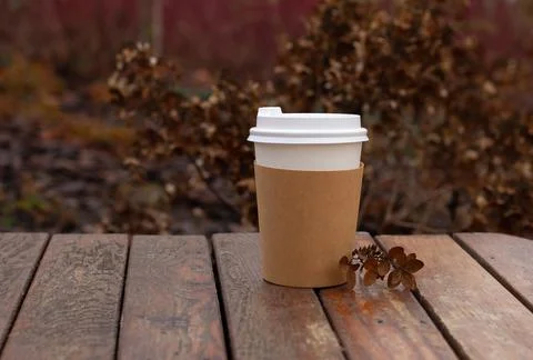 A paper cup for drinks Stock Photos