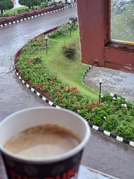 A Paper Cup of Hot Coffee by the Window with Rainy Garden View in Berastagi Stock Photos