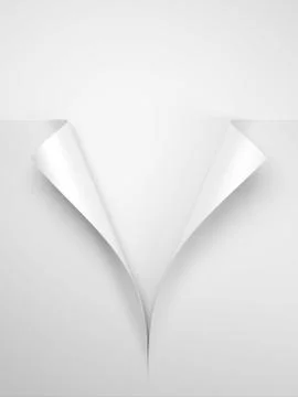 Paper with the curled corner, 3d rendering Stock Illustration