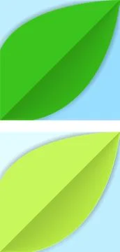 Paper cut background with green leaf 스톡 일러스트
