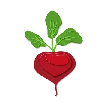 Paper cut red beet whith chard. Vector paper craft design in the form of ripe Stock Illustration