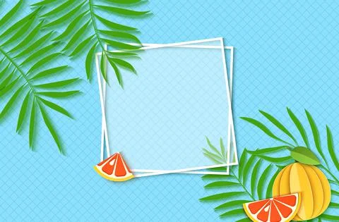 Paper cut two white square frames with green tropical palm leaves and slice and Stock Illustration