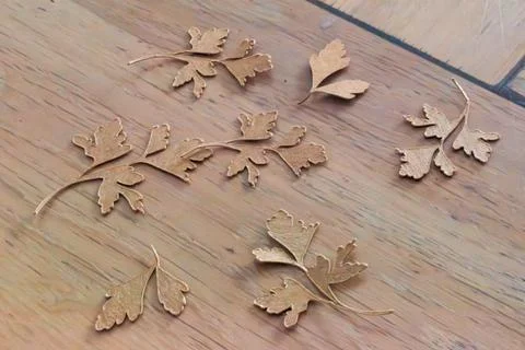 Paper cutting, ornament, design and model cut with a cutting plotter for pr.. Stock Photos
