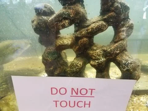 Paper do not touch sign on fish tank Stock Photos