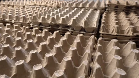 Paper Egg Cartons. Paper Pulp Egg Packaging Vídeo Stock 290801501