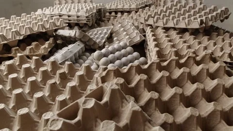 Paper egg cartons. Used empty paper egg packaging waste for recycling composting Stock Footage 284288655