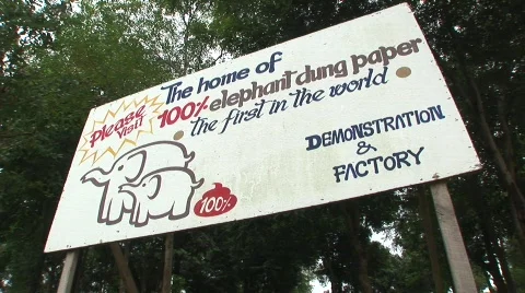 Paper from elephant dung Stock Footage 565294