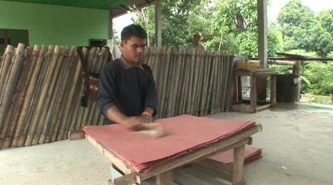 Paper from elephant dung Stock Footage 565301