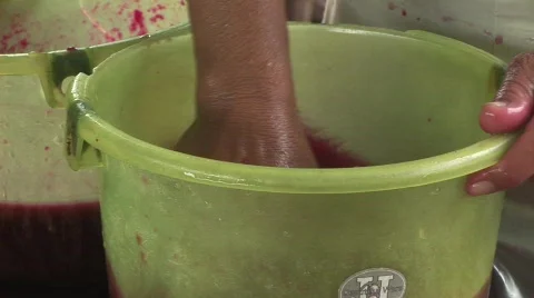 Paper from elephant dung Video stock 565327