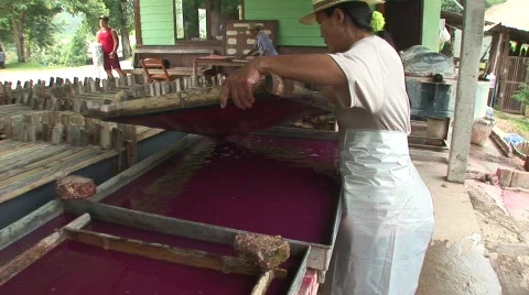 Paper from elephant dung Stock Footage 565340
