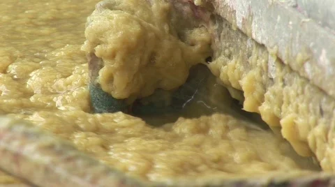 Paper from elephant dung Видео 565358