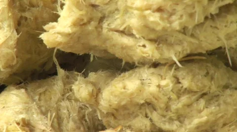 Paper from elephant dung Vídeo Stock 565369