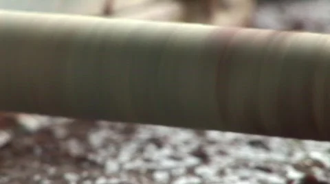 Paper from elephant dung Stock-Footage 565395