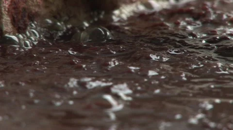 Paper from elephant dung Video stock 565407