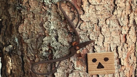 Paper face Old scissors tree Stock Footage 94326645