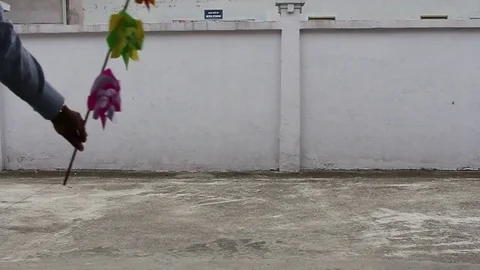 Paper fan is spinning Stock Footage 72976564