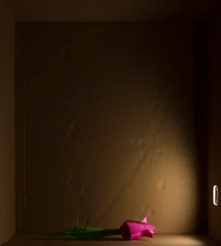Paper flower in box Stock Photos