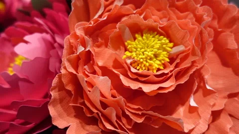 Paper flower flora backdrop red pink orange wedding blossom texture Stock Footage 299321591