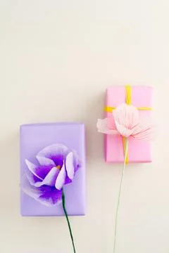 Paper flower gift boxes Stock Photos