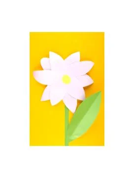 Paper flower Stock Photos