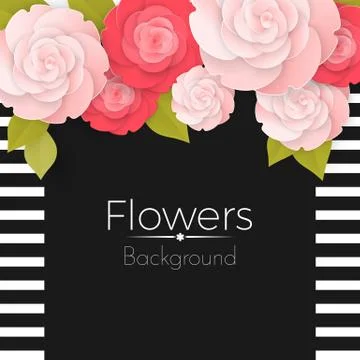 Paper flowers background with stripped frame, black middle and roses Stock Illustration