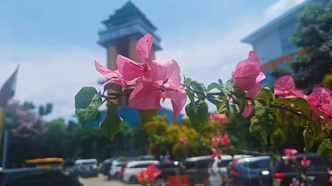 Paper flowers Stock Footage 286970145
