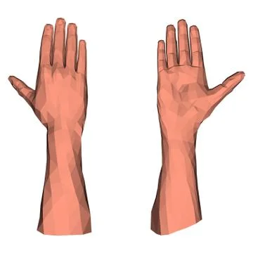 Paper graphic low poly triangular closeup palm Stock Illustration