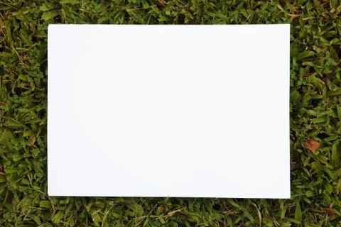 Paper on grass background Stock Photos